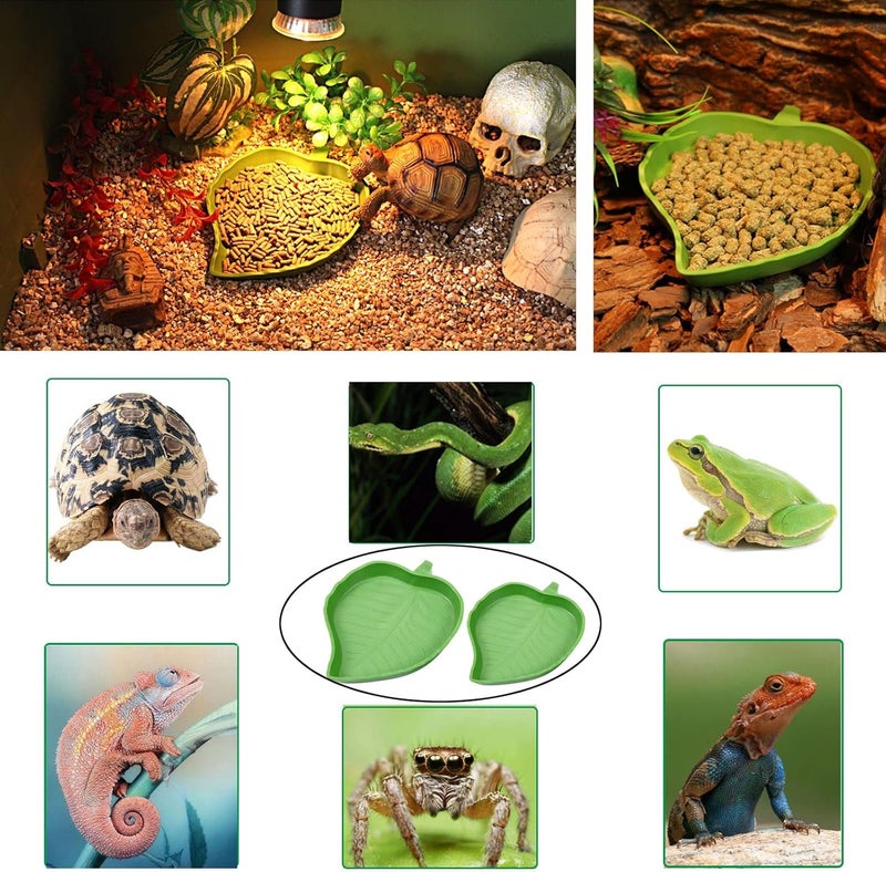 XDONEF 3pcs Tortoise Food Dish with Ramp and Basking Platform Leaf Tortoise Water Food Bowls Reptile Water Dish Turtle Reptile Pool for Amphibians Brown - Image 5